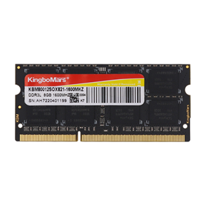 DDR3/L  8GB